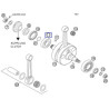 0625623204  Crankshaft Bearing KTM EXC-250-300 '04-'16