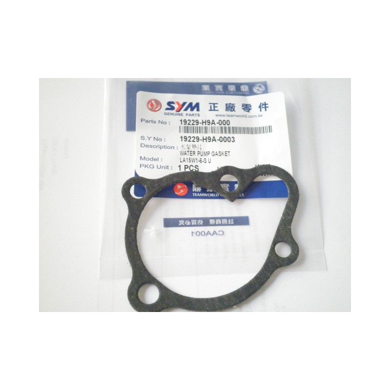 19229H9A000  Φλάντζα Καπακιού Αντλίας Νερού SYM Citycom 300i GTS-250-300 