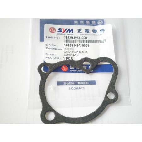 19229H9A000  Φλάντζα Καπακιού Αντλίας Νερού SYM Citycom 300i GTS-250-300 