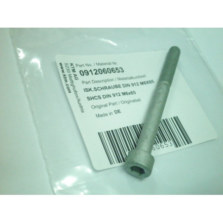 0912060653  Vibrations Absorber Screw KTM Duke 690