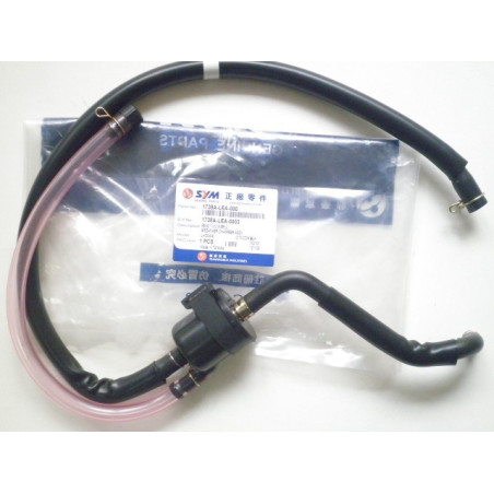 1738ALEA000  Βαλβίδα Αναπνοής  Κομπλέ SYM Citycom 300i