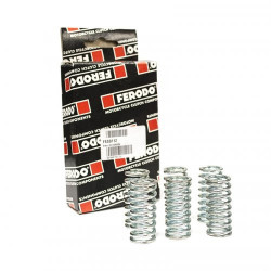 FSS0113  FERODO Clutch Springs Set Honda XL-650V Transalp