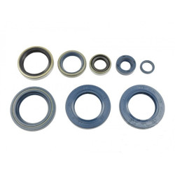 P400270400006  ΑΤΗΕΝΑ Engine Oil Seals Kit Athena KTM LC4-640 '03-'07