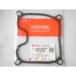 12391HMA000  Φλάντζα Καπακιού Βαλβίδων Sym Cruisym-300 GTS-250-300 Citycom-300