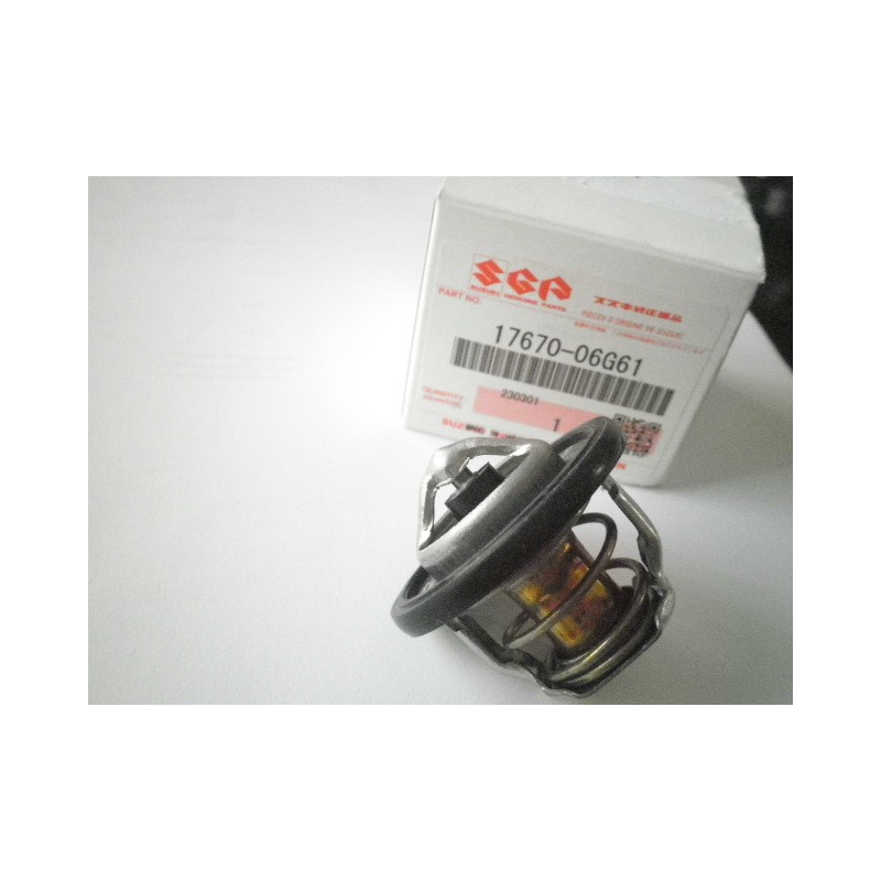 1767006G61   Θερμοστάτης Suzuki DL-650 V-Strom '12-'20 