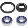25-1069  All Balls Racing Wheel Bearings & Seals Kit Honda 