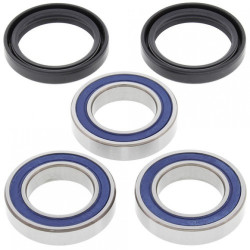 25-1250  All Balls Racing Rear Wheel Bearings & Seals Kit Honda CRF-250R/450R '02-'22 