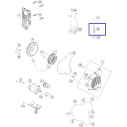 55439193000  Spark Plug KTM EXC-250/300 TPI '18-'23