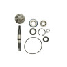 100110190  RMS Water Pump Repair Kit Honda SH-125/150  '01-'12
