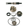 100110190  RMS Water Pump Repair Kit Honda SH-125/150  '01-'12