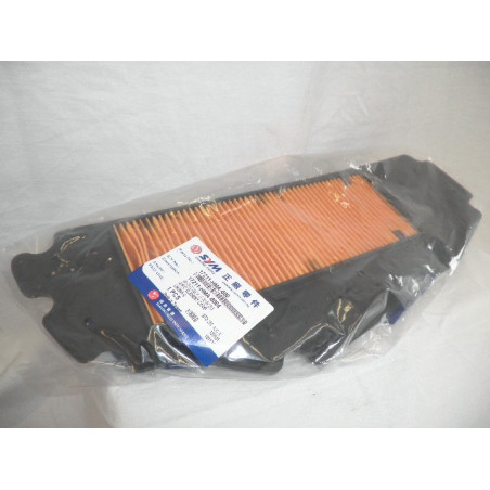 17211HMA000  Sym Air Filter GTS-250