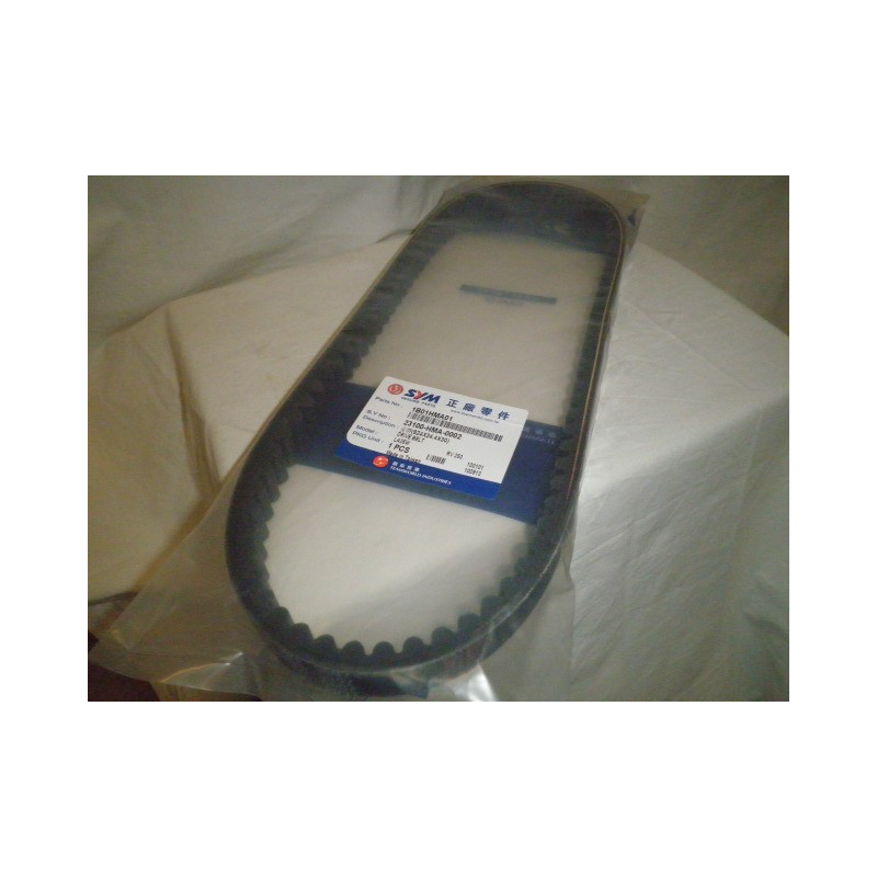 1B01HMA01  Sym Drive Belt GTS-250