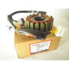 31120HMA000   Stator Cpl. Sym GTS-250 '05-'07