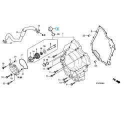 15651KTW900  Gauge Oil Level Honda SH-300 